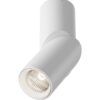 Lampe lumière neutre blanche 4000K Ø 5 cm DAFNE LED